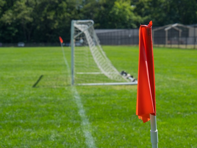 掘金VS黄蜂前瞻：掘金冲击客场10连胜，拉梅洛·鲍尔缺阵